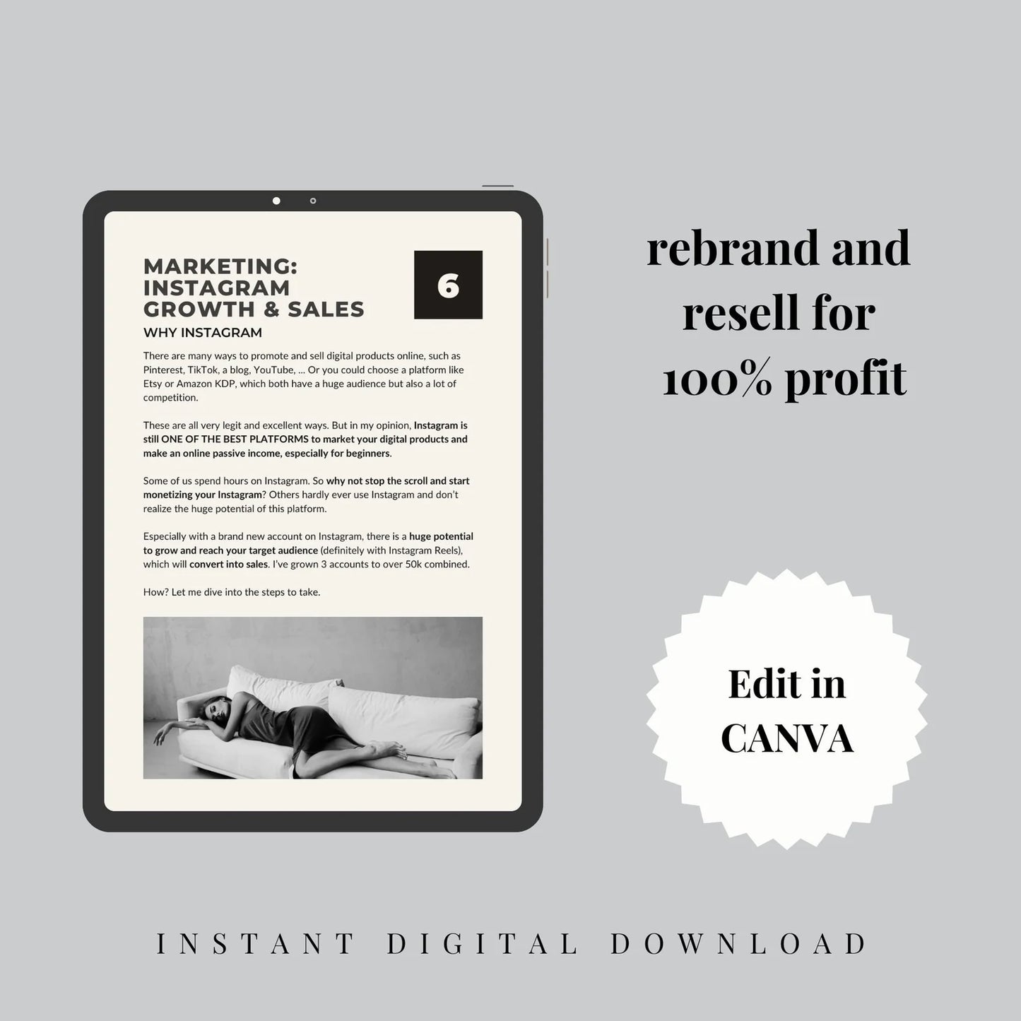 Digital Marketing Mini Guide w/ PLR and MRR Rights (Content Calendar Included)
